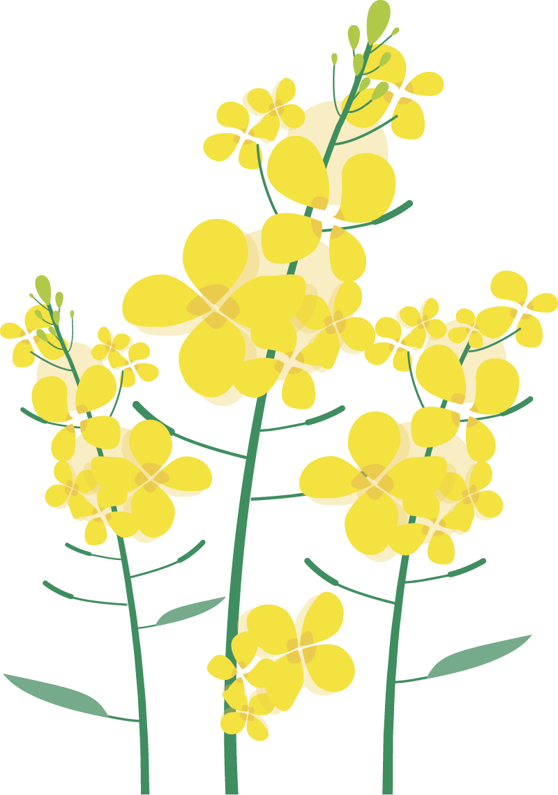 沈陽陵園龍生墓園官方與春相約，擁抱綠色健康，打造最美清明！