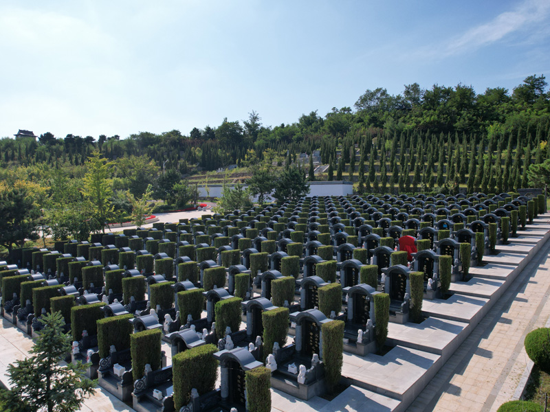 龍恩A1