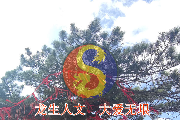 沈陽十佳墓園排名介紹喪葬禮儀知識