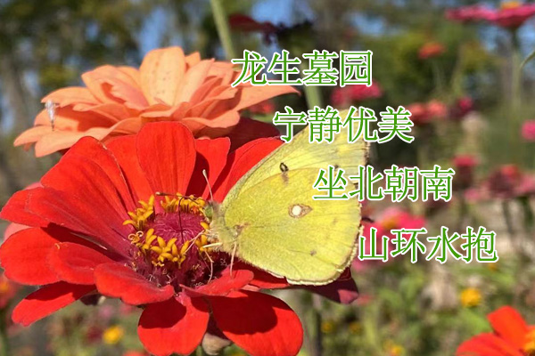 沈陽墓園前十位選龍生墓園景觀設計舒適與美感并重的墓地