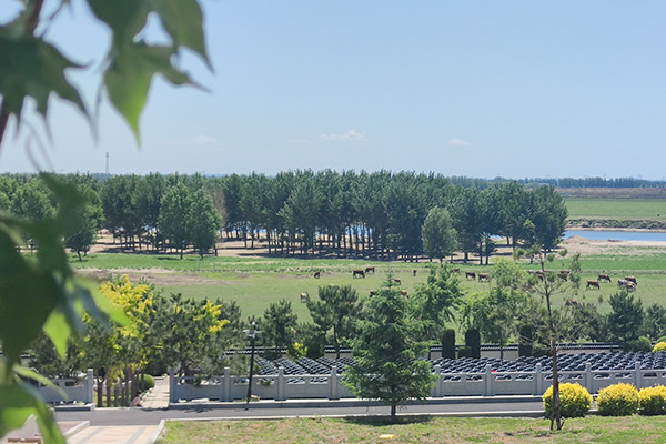 沈陽十大好口碑墓園龍生人文紀念園，沈陽十大公墓排行榜解讀一般公墓多少錢一個？