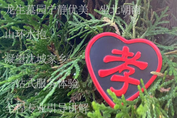 龍生墓園寧靜優美，坐北朝南，山環水抱，凝望沈城家鄉，一站式服務體驗，全程專業引導講解。