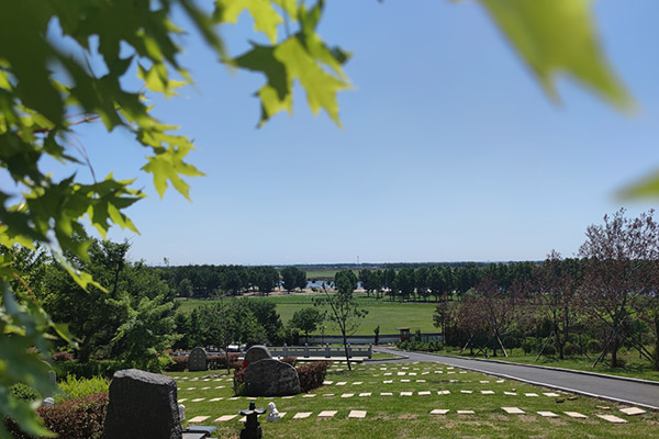 沈陽陵園公墓綠化墓園養護認知 
