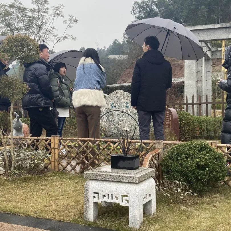 2024龍生山城游|同享歡樂時光，沈陽陵園共赴美好未來！