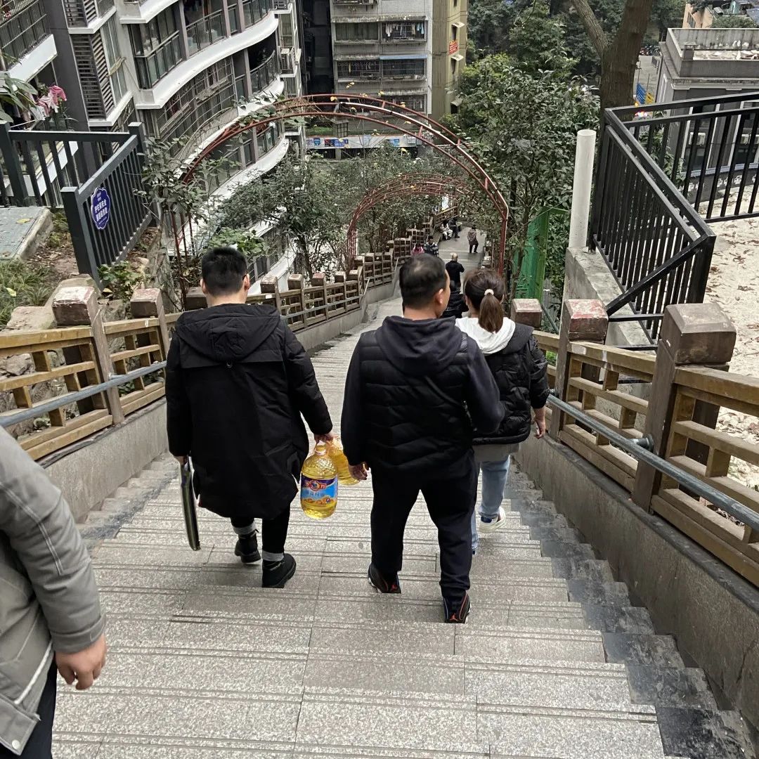2024龍生山城游|同享歡樂時光，沈陽陵園共赴美好未來！