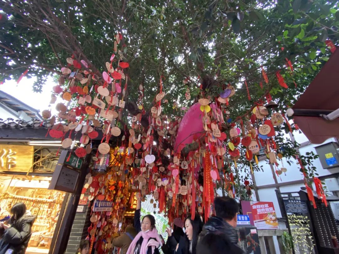 2024龍生山城游|同享歡樂時光，沈陽陵園共赴美好未來！