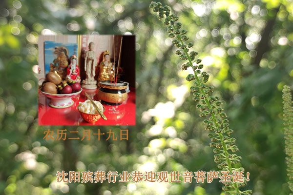 龍年農歷二月十九日，沈陽墓地陵園公墓行業恭迎觀世音菩薩圣誕！