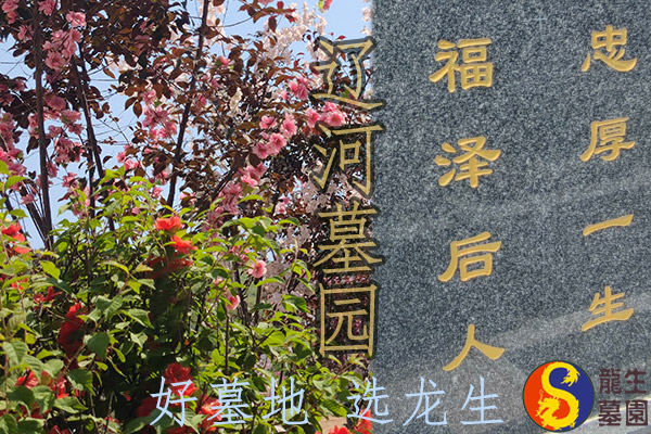 遼河墓園，好墓地，選龍生！