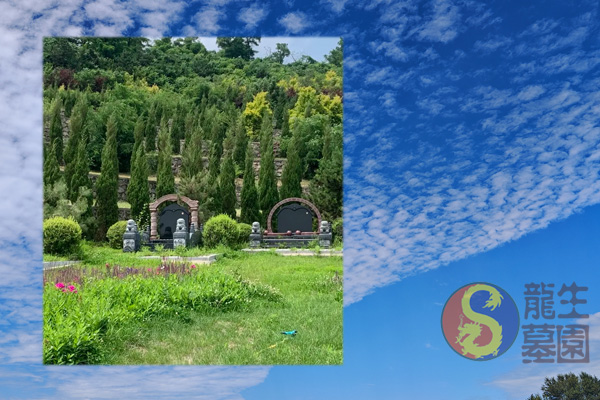 沈陽墓地陵園迎立秋，龍生墓園帶您悠然靜賞這豐年稔歲的序章！