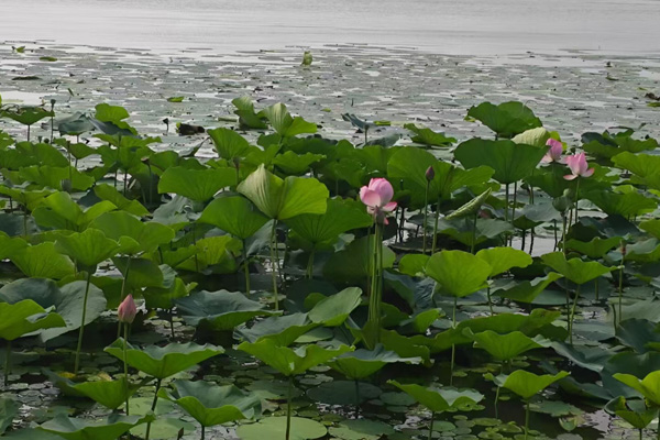 沈陽龍生墓園