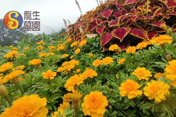 沈陽墓園圣賢文化突出，匠心設計龍生墓園文化景觀