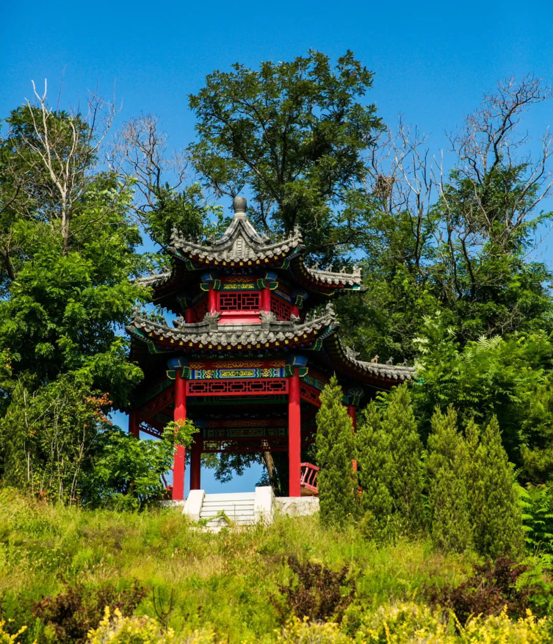 龍生墓園第七屆中元文化節——“中元祭|追憶時光繾綣，創藝燈語流年”沈陽墓園活動預告
