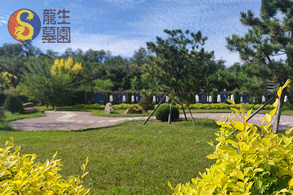 沈陽墓園提供選墓指導，龍生墓園講師全程一對一服務！