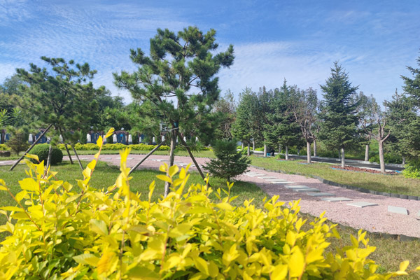 沈陽公墓是如何實現墓園園林化、多樣化、藝術化的？龍生墓地在園區設計和建筑風格上有哪些獨特之處？
