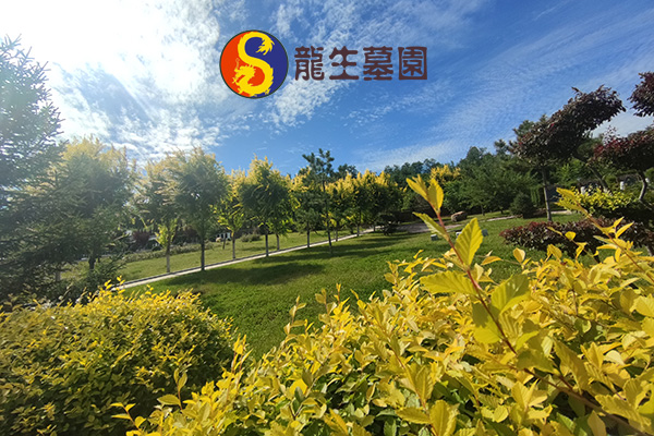 沈陽陵園環境與設施有什么優勢，龍生墓地墓位有哪些朝向可以選擇？