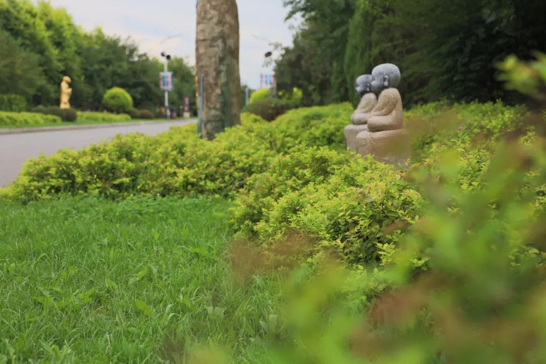 元旦特輯|回憶溫暖，沈陽龍生墓園讓愛照進未來