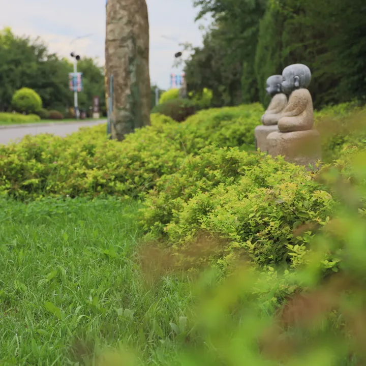 元旦特輯|回憶溫暖，沈陽龍生墓園讓愛照進未來