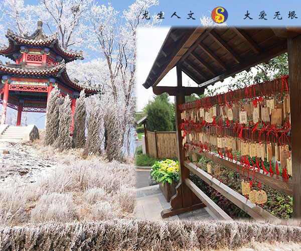 大雪節氣與生命的延續：沈陽公墓陵園墓地行業象征著生命的不屈力量