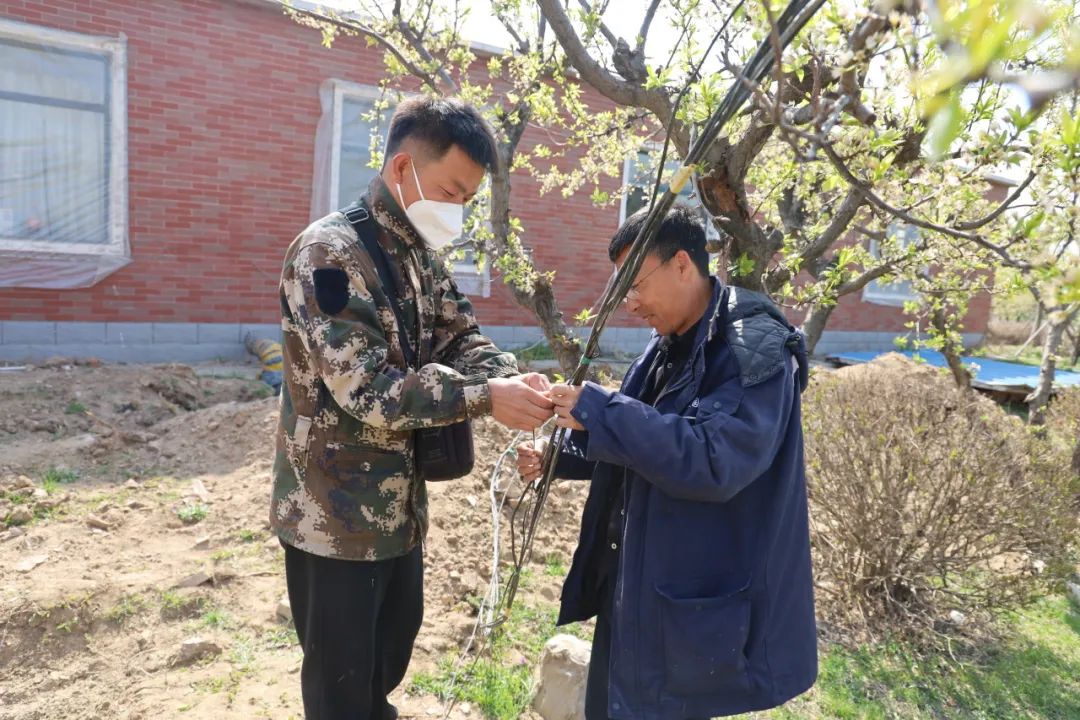 有些沈陽陵園為家屬提供了哪些祭奠服務？這些服務有何特別之處？