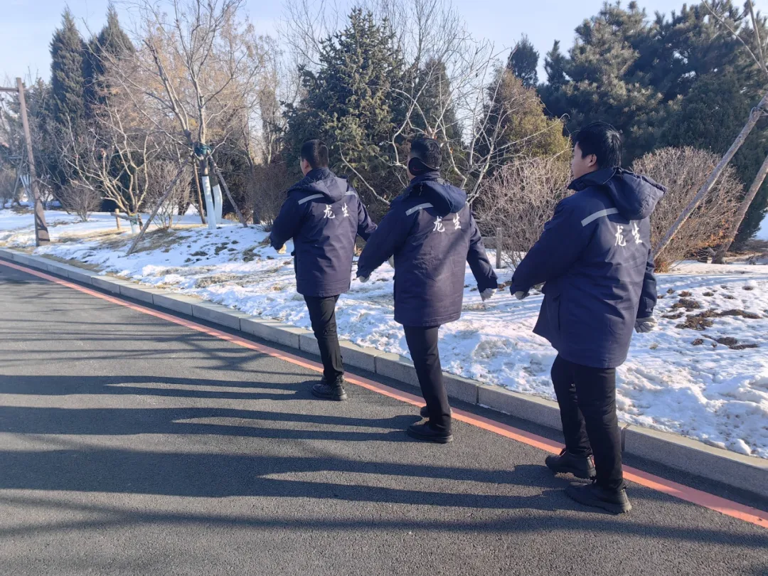 燈火映團圓，溫情護新春 | 龍生墓園春節期間服務不停歇