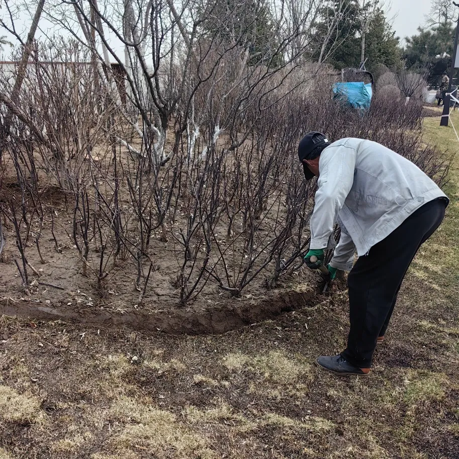 清明時節，沈陽墓園以心守候 | 記龍生墓地的春日長情