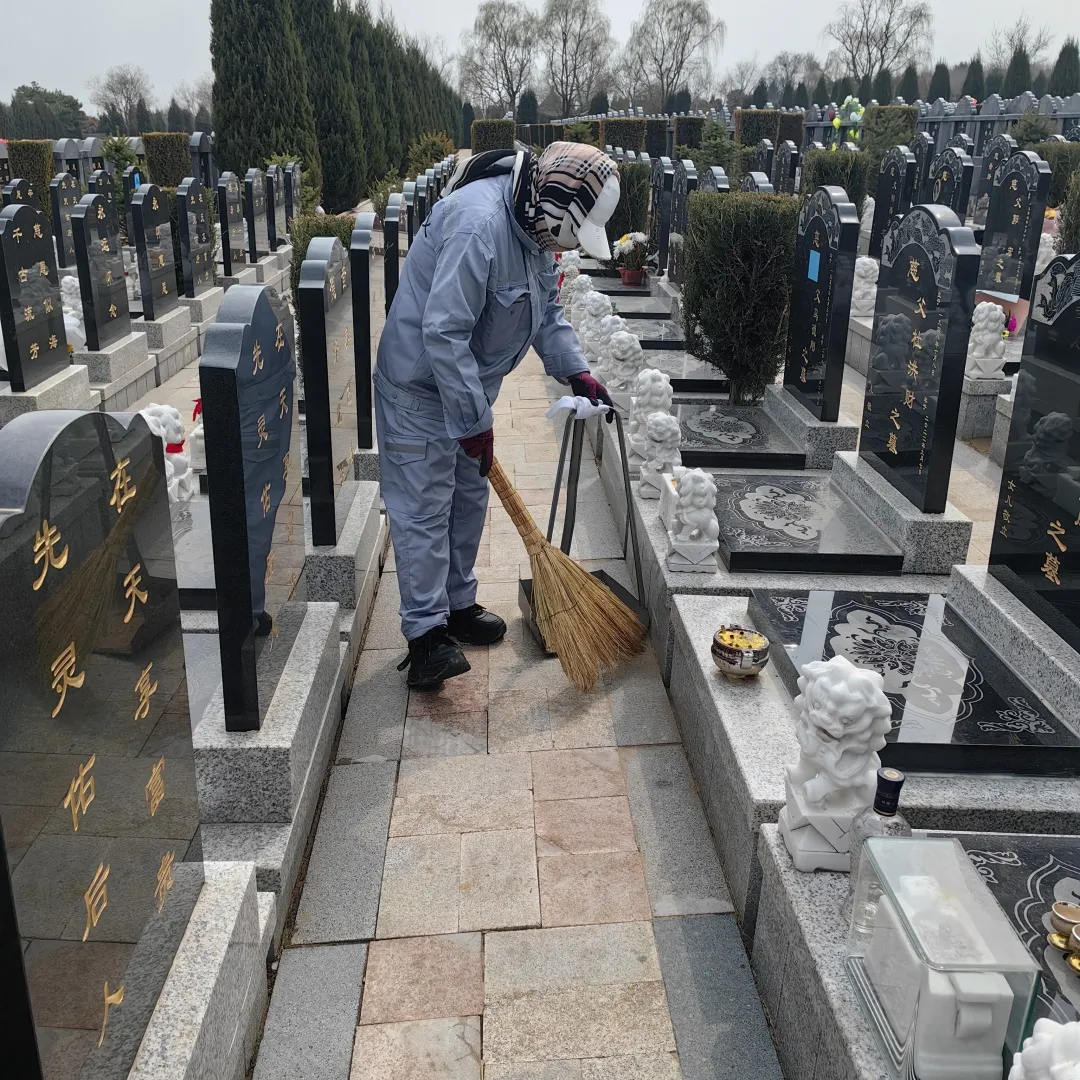 清明時節，沈陽墓園以心守候 | 記龍生墓地的春日長情