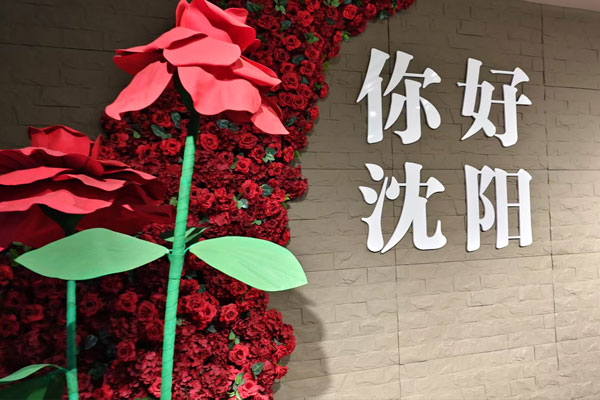 你好沈陽，墓地陵園的見證與思考