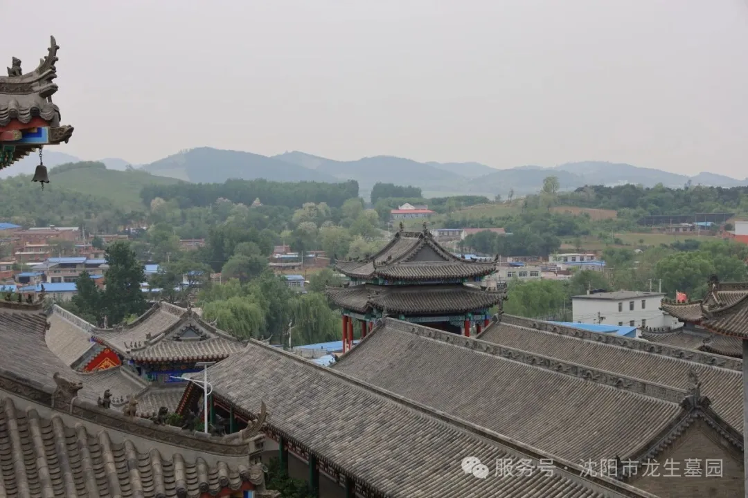 粽香寄情，溫暖同行——沈陽墓園記2025龍生端午公益一日游