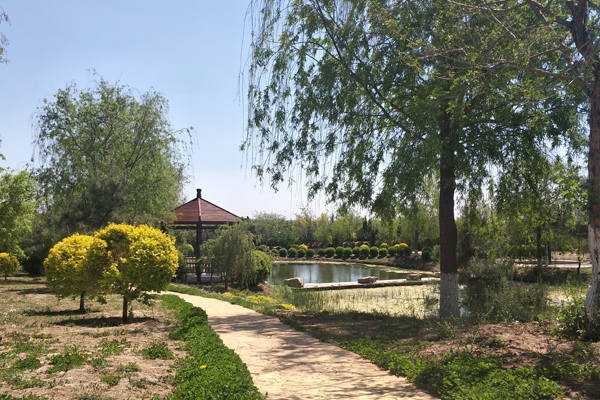 原來沈陽墓園可以美如畫