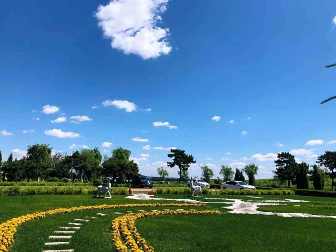 沈陽陵園龍生墓園官方與春相約，擁抱綠色健康，打造最美清明！