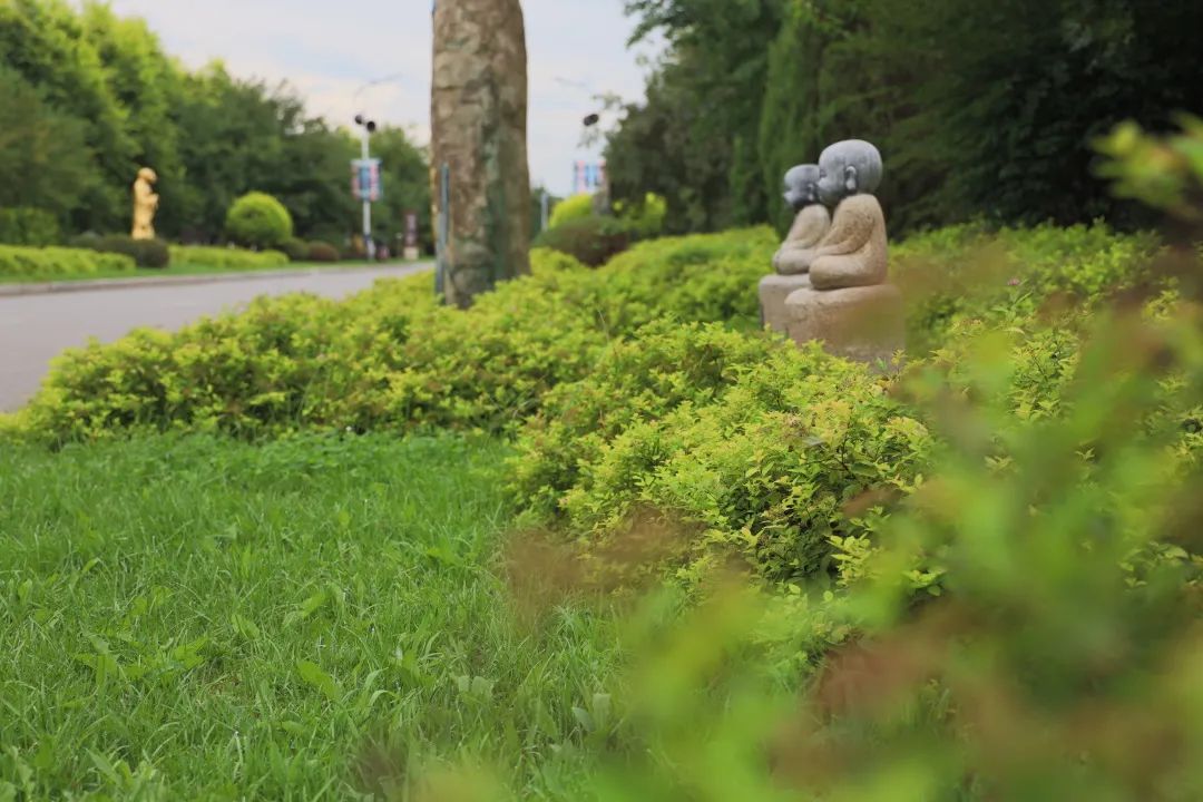 沈陽陵園龍生墓園官方與春相約，擁抱綠色健康，打造最美清明！