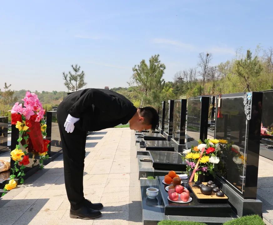 沈陽陵園龍生墓園官方與春相約，擁抱綠色健康，打造最美清明！