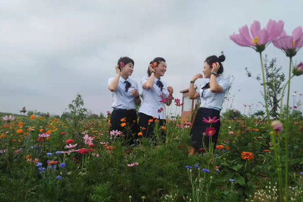 沈陽陵園龍生墓園的科學管理制度體系