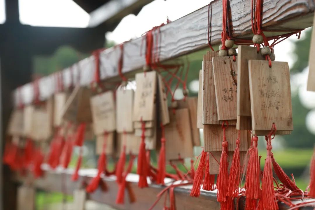 我們的眼淚濕潤著泥土，思念之情如迷霧般彌漫——沈陽陵園墓志銘