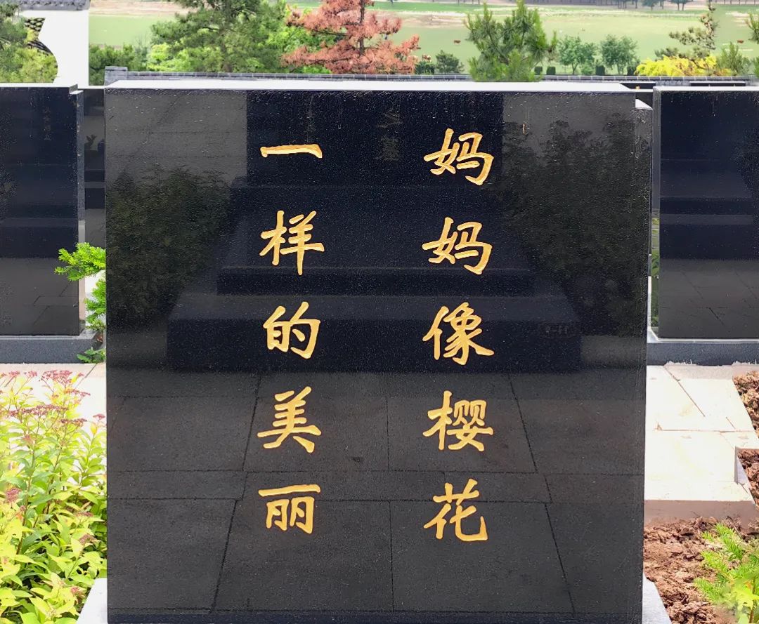 我們的眼淚濕潤著泥土，思念之情如迷霧般彌漫——沈陽陵園墓志銘