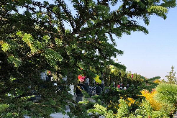 沈陽龍生墓園養護認知，打造口碑好的公墓