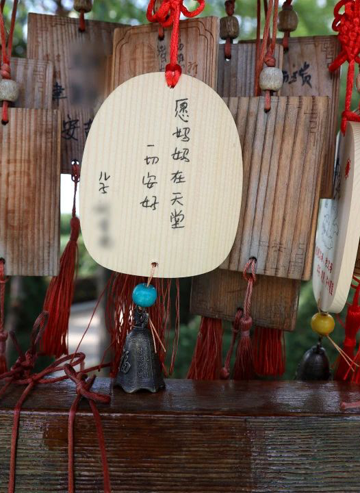 元旦喜迎新，龍生憶去歲，展今朝，未來可期，沈陽墓園365天為愛守護！