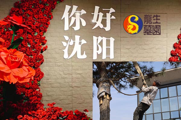 沈陽陵園開展國慶節園區安全檢查工作，全力實現平安龍生墓園！