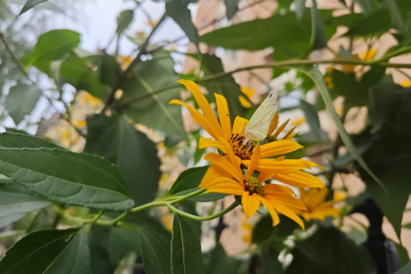 沈陽龍生墓園